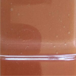 133. Salmón x025grs