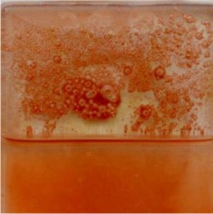 029. Salmón cb x025gr