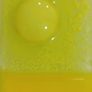 170. Amarillo cb x25gr