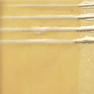 Engobe Ocre 2849 x100grs