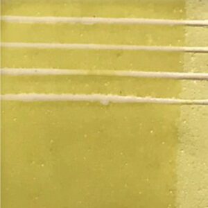 Engobe Limón 2869 x100grs