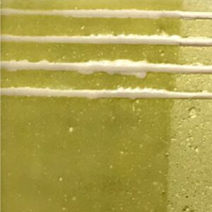 Engobe Verde Pistacho 2872 x100grs