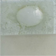015. Blanco cb x025gr