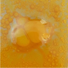 009. Ocre cb x025gr