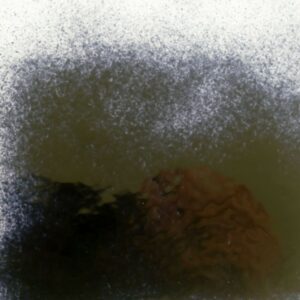 Polvo de vidrio  Negro 0026- 25grs