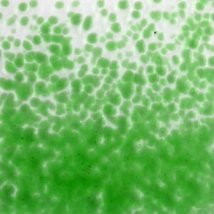 Frita Easy Fuse Verde - 10gr