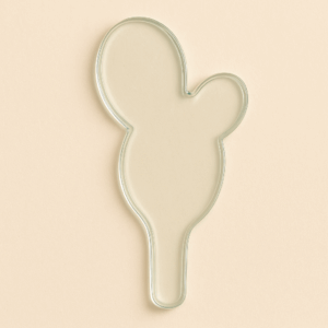 Kit Cactus modelo 2 6x11cm