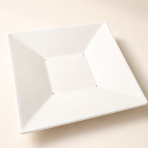 313. Plato solapa angular 22cm